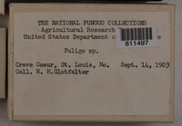Image Associated With the Occurence